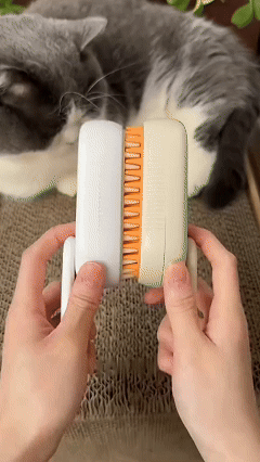 3-in-1 Steam Brush for Cats and Dogs