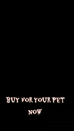 Pet Cats And Dogs Portable Outdoor Drinking Cups